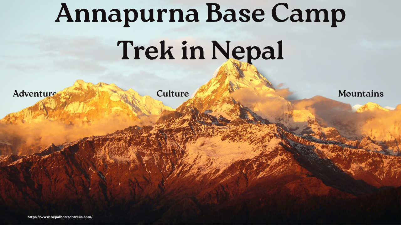 Annapurna Base Camp Trek in Nepal: Adventure, Culture & Mountains